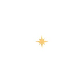 گوشواره طلا تک لنگه ای ستاره استر