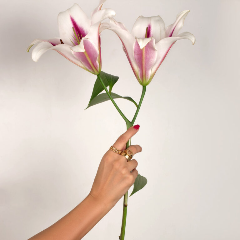 انگشتر طلا دایره توخالی - تصویر 4