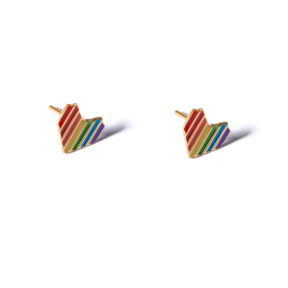 Rainbow enamel heart earrings g