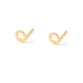 Astarantia star gold earrings G