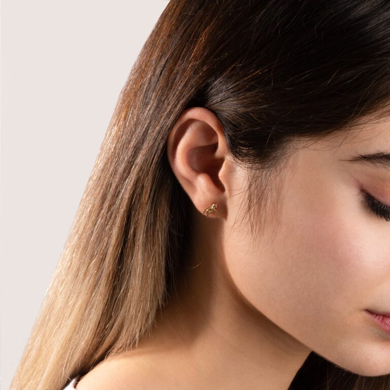 پیرسینگ طلا اسب - تصویر 7