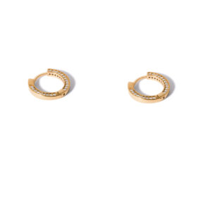 Gold earrings with jeweled rings g