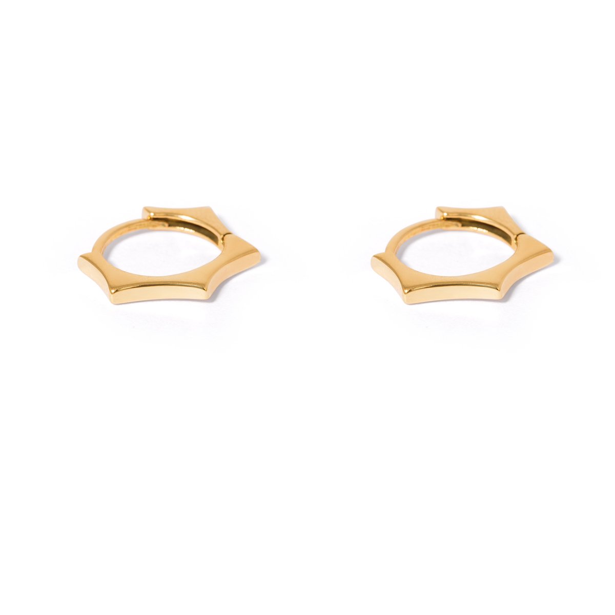 Gold pentagonal ring earrings g