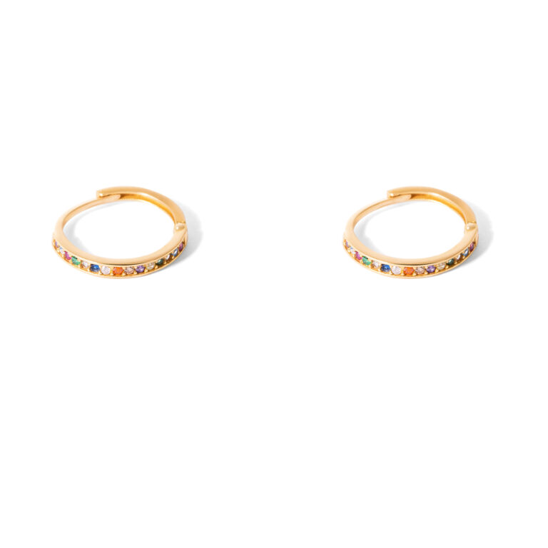 Rainbow gold hoop earrings g