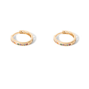 Rainbow gold hoop earrings g